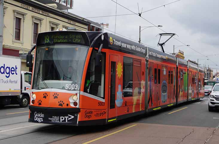 Yarra Trams Combino 5003 Guide Dogs